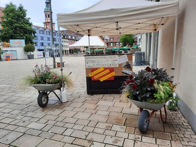 Klimperkasten auf dem Offenburger Marktplatz Foto: Stadt Offenburg