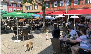 Marktplatz. Die Abstände werden eingehalten, so dass auch die Vierbeiner noch Auslauf haben (Quelle: Stadt Offenburg)