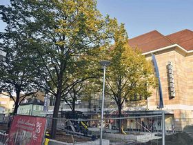 Bei einer öffentlichen Begehung am 12. Oktober wird der Zustand der Bäume auf dem Lindenplatz begutachtet. Foto: Stadt Offenburg
